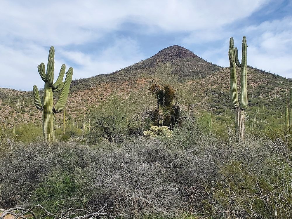 Antelope Peak Table Top Wilderness 3117, AZ HikeArizona