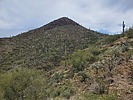 photo thumbnail #11