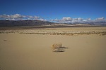photo thumbnail #12
