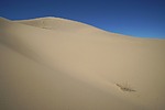 photo thumbnail #15