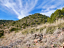 photo thumbnail #14