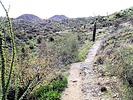 photo thumbnail #3