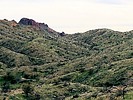 photo thumbnail #14