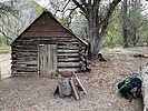 recent photo