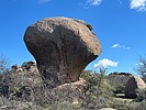 photo thumbnail #1