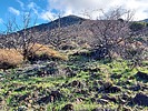 2024-02-29 :2: West Cedar Mtn 5489 - Tonto NF :: DixieFlyer