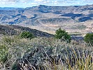 2024-02-29 :2: West Cedar Mtn 5489 - Tonto NF :: DixieFlyer