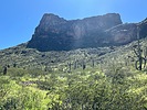 photo thumbnail #13