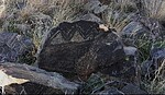 photo thumbnail #6