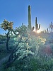 photo thumbnail #1