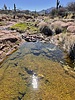 photo thumbnail #11