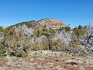 2024-03-01 :2: Zimmerman Point 6871 - Sierra Ancha :: WildForAZ
