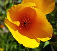 photo thumbnail #12