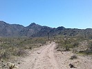 photo thumbnail #4
