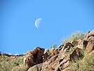 photo thumbnail #13