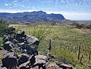 2024-03-05 :2: Garden Valley Loop :: WildForAZ