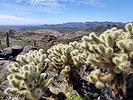 photo thumbnail #14