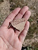 photo thumbnail #15