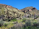 2024-03-05 :2: Garden Valley Loop :: WildForAZ