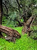 photo thumbnail #13
