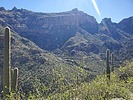 photo thumbnail #7