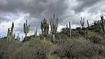 photo thumbnail #5