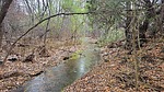 2024-03-07 :1: Lime Creek Cabin - Tonto NF :: The_Eagle