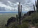 photo thumbnail #4