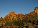 photo thumbnail #3