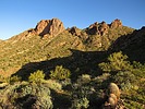 photo thumbnail #5