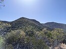 2024-03-10 :1: Mount Ballard :: BubbaJuice