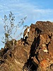 2024-03-12 :3: Peak 1922 - Phoenix Mountains :: PatrickL
