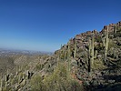 photo thumbnail #6