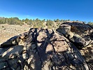 photo thumbnail #5