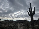 photo thumbnail #7