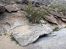 photo thumbnail #5