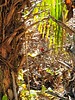 photo thumbnail #15