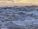 photo thumbnail #13