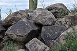 photo thumbnail #11