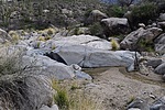 photo thumbnail #2