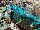 photo thumbnail #9