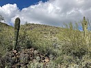 2024-03-15 :1: Black Mountain Summit - Lake Pleasant :: John10s