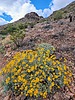 2024-03-16 :1: Lookout Mtn Circumference Trail #308 :: tibber