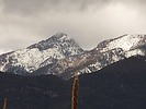 photo thumbnail #15