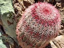 photo thumbnail #15