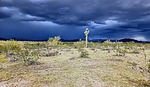 photo thumbnail #5