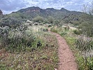 photo thumbnail #5
