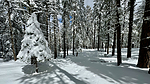 photo thumbnail #5