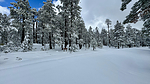 photo thumbnail #4