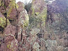 photo thumbnail #4